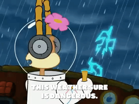 season 6 GIF by SpongeBob SquarePants