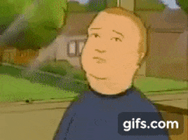 King Of The Hill Fly GIF