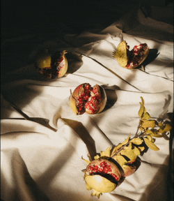 Origo_S giphyupload skincare natural origo GIF