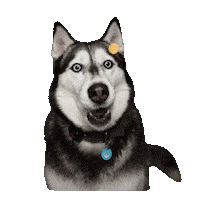 Wah Sticker