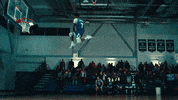 The Box Basketball GIF by Roddy Ricch