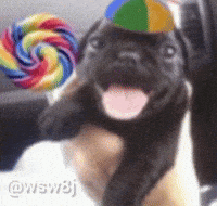 Dog Candy GIF