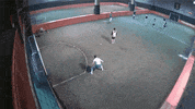 GIF by Giffffr