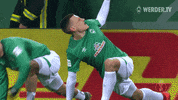 warm up bundesliga GIF by SV Werder Bremen