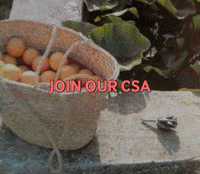 christian_lindfors  GIF