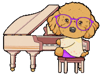 Toy Poodle Piano Sticker