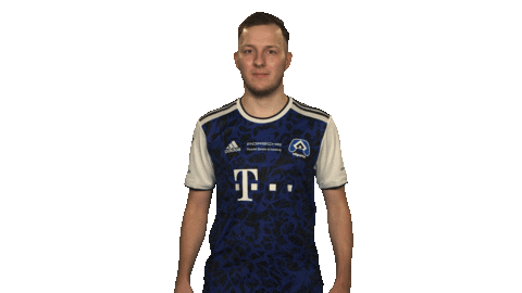 Happy Fifa Sticker by Bundesliga