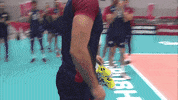 Emotion Goodbye GIF by Volleyball World