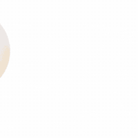 petso-llp social media 寵物 petso1992 好主人 GIF