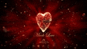 Heart Love GIF