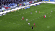 1 fc cologne football GIF by 1. FC Köln