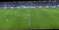 Cordoba Robo GIF