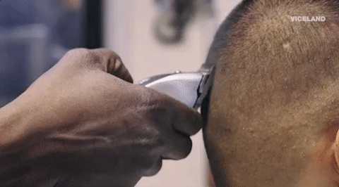 viceland GIF by HUANG'S WORLD