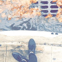 GIF by GIPHY CAM