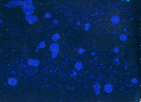 animation sustanciaproject GIF by EmiLi