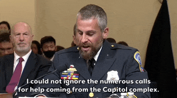 January 6 Insurrection GIF by GIPHY News