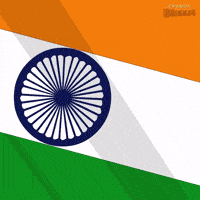 Republic Day Patriotism GIF by Chhota Bheem