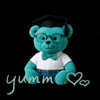 Teddy Zk GIF by Die Wirkungskademie