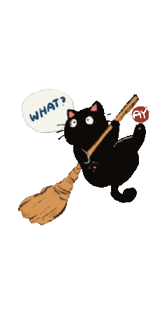 Black Cat What Sticker