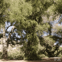 betterthingsfx better things better things fx betterthingsfx betterthings GIF