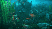 Horizon Zero Dawn Ps4 GIF by PlayStation