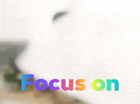 Focus On Book GIF