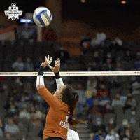 Sport Reaction GIF by NCAA Championships