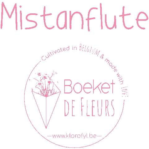 boeketdefleurs giphyupload local bouquet brussels Sticker