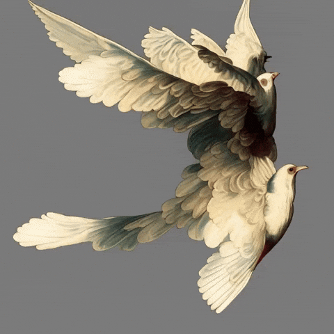 Bg Network GIF by Aleksey Efremov