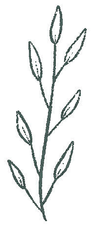Flower Leaves Sticker