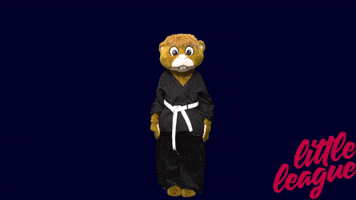 Baseball Softball GIF by Little League International