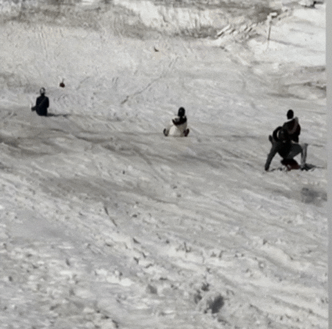 travelserieskunal travelserieskunal fallfunny GIF