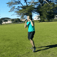 aaronbeardnz punch invisible noone mrnobody GIF