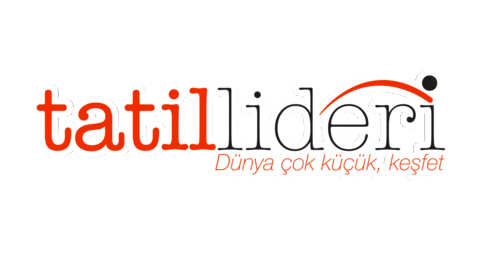 tatillideri giphyupload tatillideri Sticker