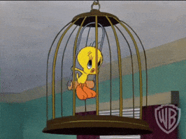 Swinging Tweety Bird GIF