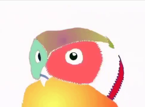 GIF by Chad VanGaalen