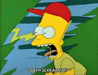 Season 1 GIF by The Simpsons