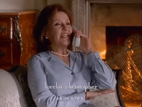 season 1 netflix GIF by Gilmore Girls 