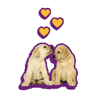 Dog Love Sticker by KNGF Geleidehonden