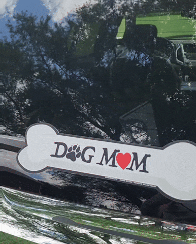 GIF by WiperTags Wiper Covers