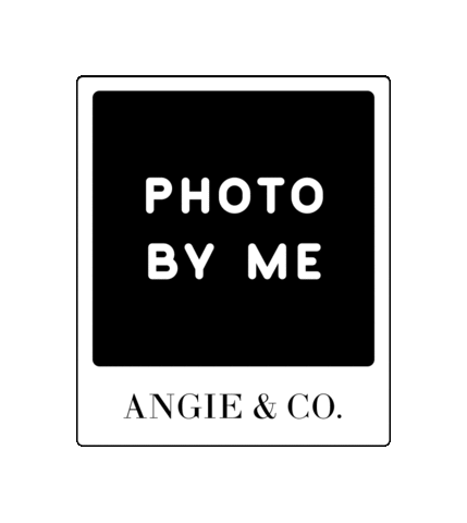 Design Studio Designer Sticker by Angie & Co