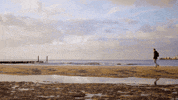 momentsofcolour summer travel beach time GIF