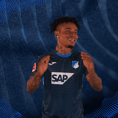 Sport Bundesliga GIF by TSG Hoffenheim