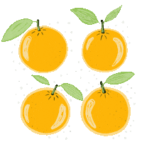 Fruit Oranges Sticker