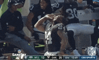 Oakland Raiders Football GIF by NFL