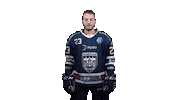 Ice Hockey Sticker by Fehervar AV19