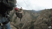 TheBroadmoor travel nature luxury hotel GIF