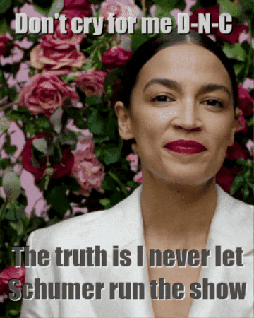 IBDaMann giphygifmaker GIF