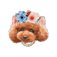 Toy Poodle Dog Sticker