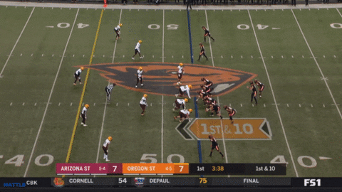 sletizia14 giphyupload GIF